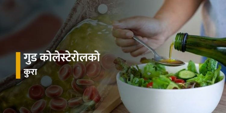 आवश्यक छ कोलेस्टेरोल पनि